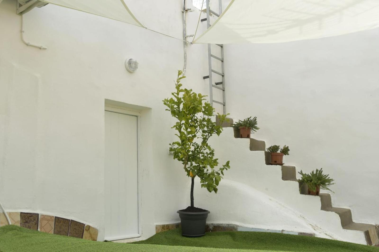 Madre Terra Apartment & Rooms Terrasini Exterior foto